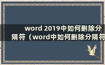 word 2019中如何删除分隔符（word中如何删除分隔符）